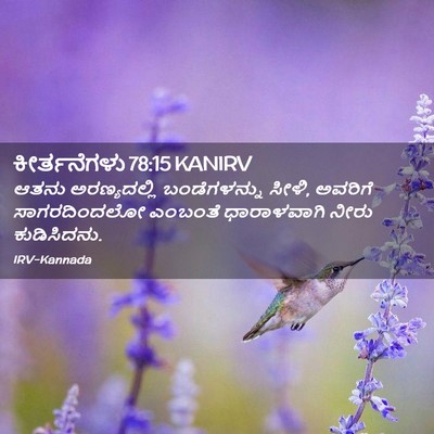 Picture 02 - ಕೀರ್ತನೆಗಳು 78:15 KANIRV - ಆತನು ಅರಣ್ಯದಲ್ಲಿ - Bible Verse Picture