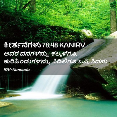 Picture 02 - ಕೀರ್ತನೆಗಳು 78:48 KANIRV - ಅವರ ದನಗಳನ್ನು - Bible Verse Picture