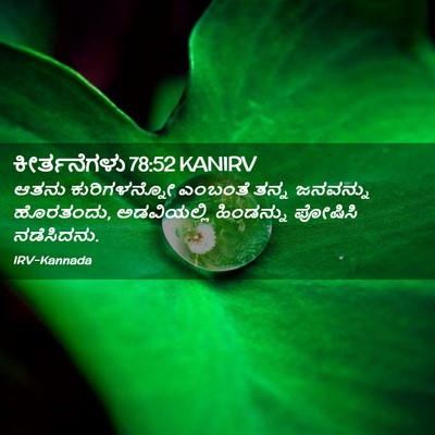 Picture 02 - ಕೀರ್ತನೆಗಳು 78:52 KANIRV - ಆತನು ಕುರಿಗಳನ್ನೋ - Bible Verse Picture