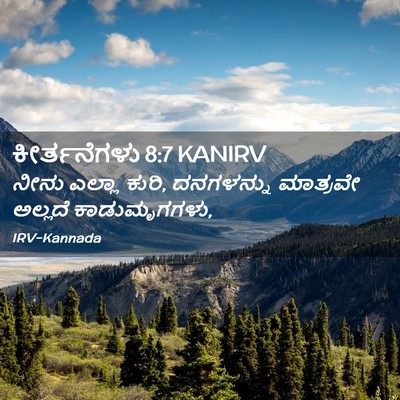 Picture 02 - ಕೀರ್ತನೆಗಳು 8:7 KANIRV - ನೀನು ಎಲ್ಲಾ ಕುರಿ, - Bible Verse Picture