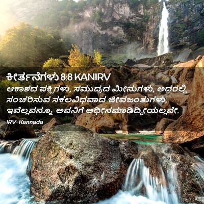 Picture 02 - ಕೀರ್ತನೆಗಳು 8:8 KANIRV - ಆಕಾಶದ ಪಕ್ಷಿಗಳು, - Bible Verse Picture