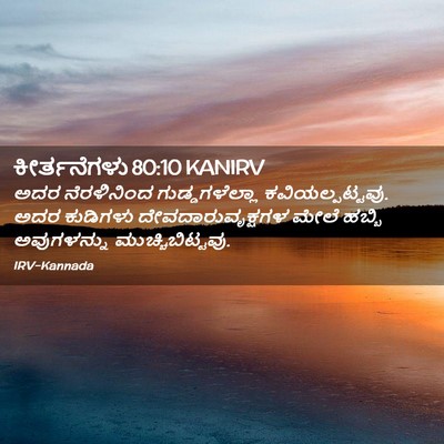 Picture 02 - ಕೀರ್ತನೆಗಳು 80:10 KANIRV - ಅದರ ನೆರಳಿನಿಂದ - Bible Verse Picture
