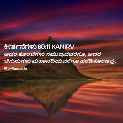Picture 02 - ಕೀರ್ತನೆಗಳು 80:11 KANIRV - ಅದರ ಕೊಂಬೆಗಳು - Bible Verse Picture