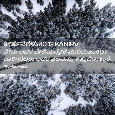 Picture 02 - ಕೀರ್ತನೆಗಳು 80:12 KANIRV - ನೀನು ಅದರ - Bible Verse Picture