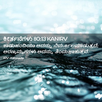 Picture 02 - ಕೀರ್ತನೆಗಳು 80:13 KANIRV - ಕಾಡುಹಂದಿಯು ಅದನ್ನು - Bible Verse Picture