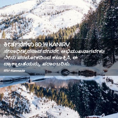 Picture 02 - ಕೀರ್ತನೆಗಳು 80:14 KANIRV - ಸೇನಾಧೀಶ್ವರನಾದ - Bible Verse Picture