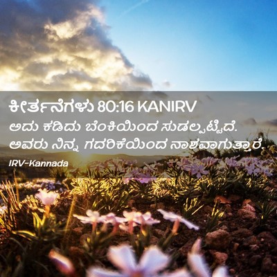 Picture 02 - ಕೀರ್ತನೆಗಳು 80:16 KANIRV - ಅದು ಕಡಿದು - Bible Verse Picture