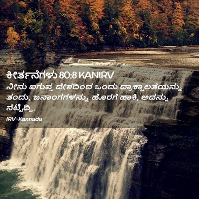Picture 02 - ಕೀರ್ತನೆಗಳು 80:8 KANIRV - ನೀನು ಐಗುಪ್ತ - Bible Verse Picture