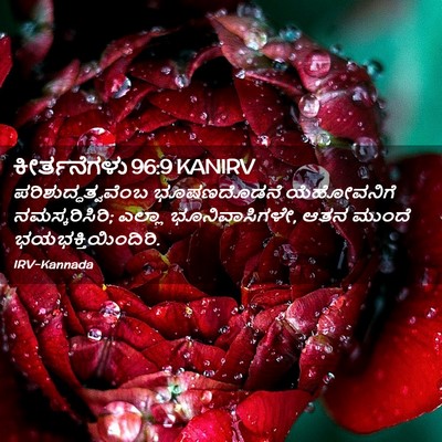 Picture 02 - ಕೀರ್ತನೆಗಳು 96:9 KANIRV - ಪರಿಶುದ್ಧತ್ವವೆಂಬ - Bible Verse Picture
