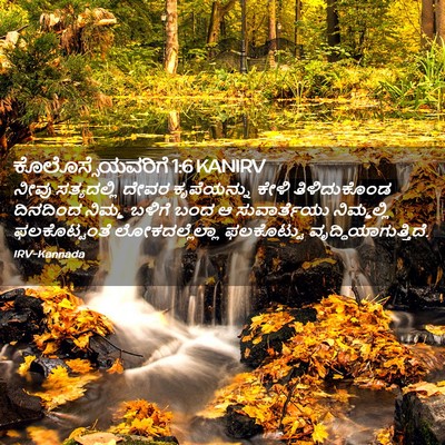 Picture 02 - ಕೊಲೊಸ್ಸೆಯವರಿಗೆ 1:6 KANIRV - ನೀವು ಸತ್ಯದಲ್ಲಿ - Bible Verse Picture