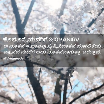 Picture 02 - ಕೊಲೊಸ್ಸೆಯವರಿಗೆ 3:10 KANIRV - ಈ ನೂತನ ಸ್ವಭಾವವು - Bible Verse Picture