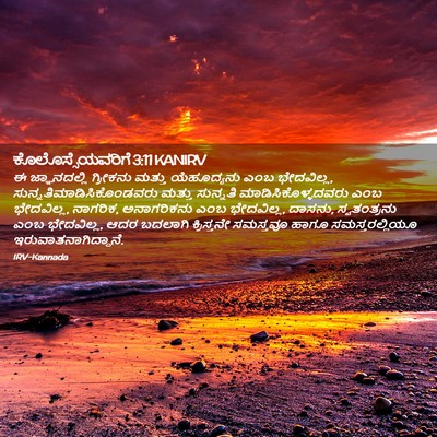 Picture 02 - ಕೊಲೊಸ್ಸೆಯವರಿಗೆ 3:11 KANIRV - ಈ ಜ್ಞಾನದಲ್ಲಿ - Bible Verse Picture