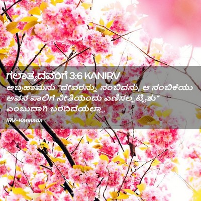 Picture 02 - ಗಲಾತ್ಯದವರಿಗೆ 3:6 KANIRV - ಅಬ್ರಹಾಮನು - Bible Verse Picture