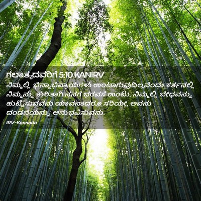 Picture 02 - ಗಲಾತ್ಯದವರಿಗೆ 5:10 KANIRV - ನಿಮ್ಮಲ್ಲಿ - Bible Verse Picture