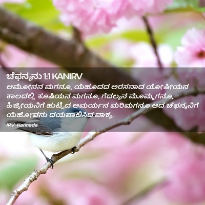 Picture 02 - ಚೆಫನ್ಯನು 1:1 KANIRV - ಆಮೋನನ ಮಗನೂ, ಯೆಹೂದದ - Bible Verse Picture