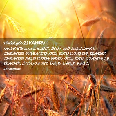 Picture 02 - ಚೆಫನ್ಯನು 2:1 KANIRV - ನಾಚಿಕೆಗೇಡಿ - Bible Verse Picture