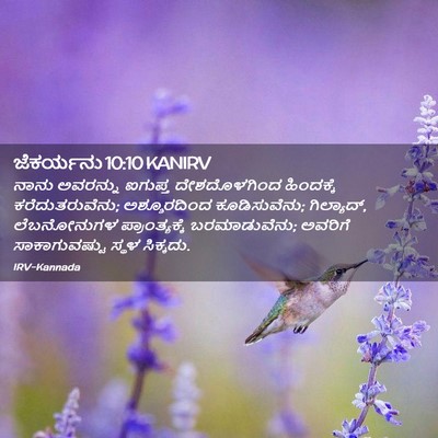 Picture 02 - ಜೆಕರ್ಯನು 10:10 KANIRV - ನಾನು ಅವರನ್ನು - Bible Verse Picture