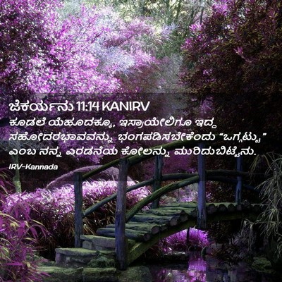 Picture 02 - ಜೆಕರ್ಯನು 11:14 KANIRV - ಕೂಡಲೆ ಯೆಹೂದಕ್ಕೂ, - Bible Verse Picture