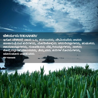 Picture 02 - ಜೆಕರ್ಯನು 11:16 KANIRV - ಇಗೋ, ದೇಶದಲ್ಲಿ ನಾನು - Bible Verse Picture