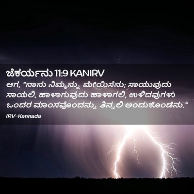 Picture 02 - ಜೆಕರ್ಯನು 11:9 KANIRV - ಆಗ, “ನಾನು - Bible Verse Picture