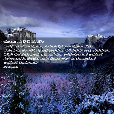 Picture 02 - ಜೆಕರ್ಯನು 12:10 KANIRV - ದಾವೀದ - Bible Verse Picture