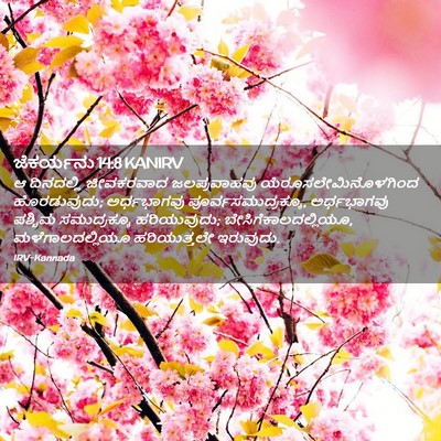 Picture 02 - ಜೆಕರ್ಯನು 14:8 KANIRV - ಆ ದಿನದಲ್ಲಿ - Bible Verse Picture