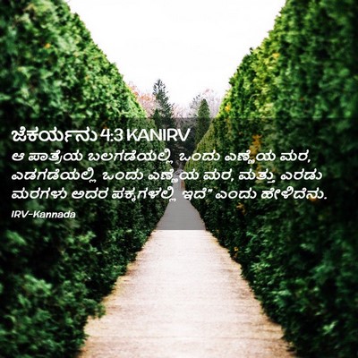 Picture 02 - ಜೆಕರ್ಯನು 4:3 KANIRV - ಆ ಪಾತ್ರೆಯ - Bible Verse Picture