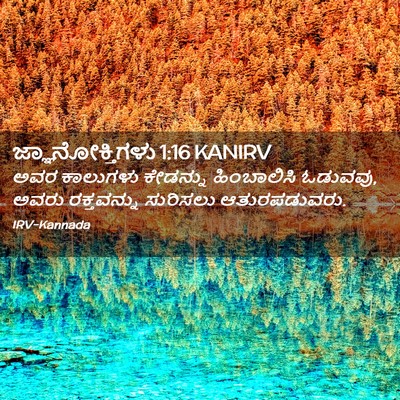 Picture 02 - ಜ್ಞಾನೋಕ್ತಿಗಳು 1:16 KANIRV - ಅವರ ಕಾಲುಗಳು - Bible Verse Picture