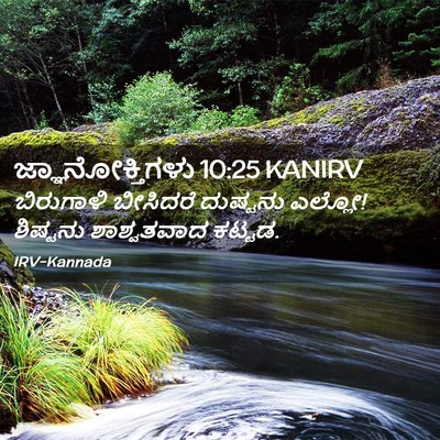 Picture 02 - ಜ್ಞಾನೋಕ್ತಿಗಳು 10:25 KANIRV - ಬಿರುಗಾಳಿ ಬೀಸಿದರೆ - Bible Verse Picture