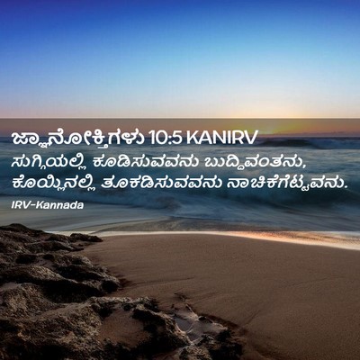 Picture 02 - ಜ್ಞಾನೋಕ್ತಿಗಳು 10:5 KANIRV - ಸುಗ್ಗಿಯಲ್ಲಿ - Bible Verse Picture