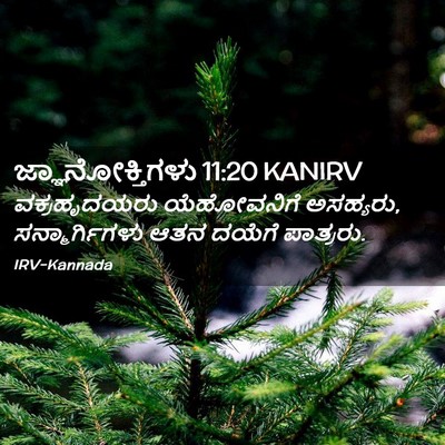 Picture 02 - ಜ್ಞಾನೋಕ್ತಿಗಳು 11:20 KANIRV - ವಕ್ರಹೃದಯರು - Bible Verse Picture