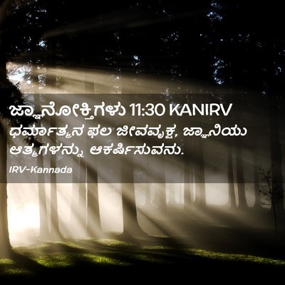 Picture 02 - ಜ್ಞಾನೋಕ್ತಿಗಳು 11:30 KANIRV - ಧರ್ಮಾತ್ಮನ ಫಲ - Bible Verse Picture