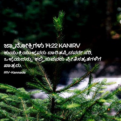 Picture 02 - ಜ್ಞಾನೋಕ್ತಿಗಳು 14:22 KANIRV - ಕುಯುಕ್ತಿಯುಳ್ಳವರು - Bible Verse Picture