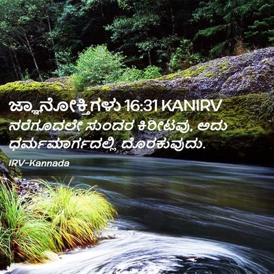 Picture 02 - ಜ್ಞಾನೋಕ್ತಿಗಳು 16:31 KANIRV - ನರೆಗೂದಲೇ ಸುಂದರ - Bible Verse Picture