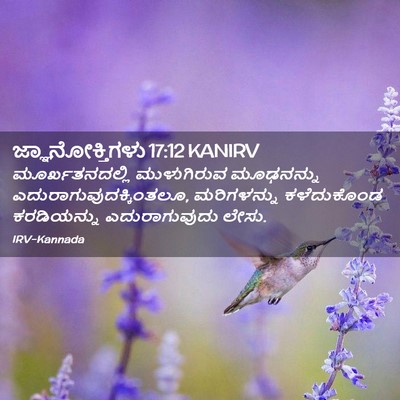 Picture 02 - ಜ್ಞಾನೋಕ್ತಿಗಳು 17:12 KANIRV - ಮೂರ್ಖತನದಲ್ಲಿ - Bible Verse Picture