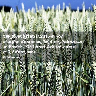 Picture 02 - ಜ್ಞಾನೋಕ್ತಿಗಳು 17:28 KANIRV - ಮೂಢನು ಕೂಡ - Bible Verse Picture