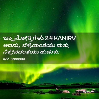 Picture 02 - ಜ್ಞಾನೋಕ್ತಿಗಳು 2:4 KANIRV - ಅದನ್ನು - Bible Verse Picture