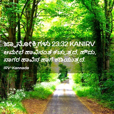 Picture 02 - ಜ್ಞಾನೋಕ್ತಿಗಳು 23:32 KANIRV - ಆಮೇಲೆ ಹಾವಿನಂತೆ - Bible Verse Picture
