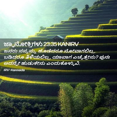Picture 02 - ಜ್ಞಾನೋಕ್ತಿಗಳು 23:35 KANIRV - ಜನರು ನನ್ನನ್ನು - Bible Verse Picture