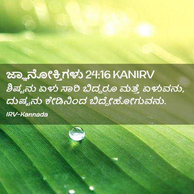 Picture 02 - ಜ್ಞಾನೋಕ್ತಿಗಳು 24:16 KANIRV - ಶಿಷ್ಟನು ಏಳು ಸಾರಿ - Bible Verse Picture
