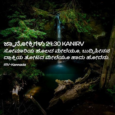 Picture 02 - ಜ್ಞಾನೋಕ್ತಿಗಳು 24:30 KANIRV - ಸೋಮಾರಿಯ ಹೊಲದ - Bible Verse Picture