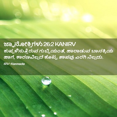 Picture 02 - ಜ್ಞಾನೋಕ್ತಿಗಳು 26:2 KANIRV - ಕುಪ್ಪಳಿಸುತ್ತಿರುವ - Bible Verse Picture