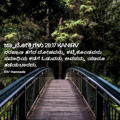 Picture 02 - ಜ್ಞಾನೋಕ್ತಿಗಳು 28:17 KANIRV - ನರಪ್ರಾಣ ತೆಗೆದ - Bible Verse Picture