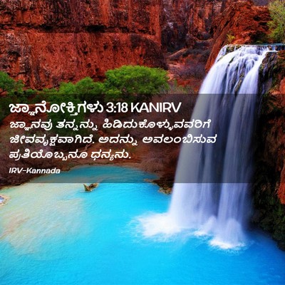 Picture 02 - ಜ್ಞಾನೋಕ್ತಿಗಳು 3:18 KANIRV - ಜ್ಞಾನವು ತನ್ನನ್ನು - Bible Verse Picture
