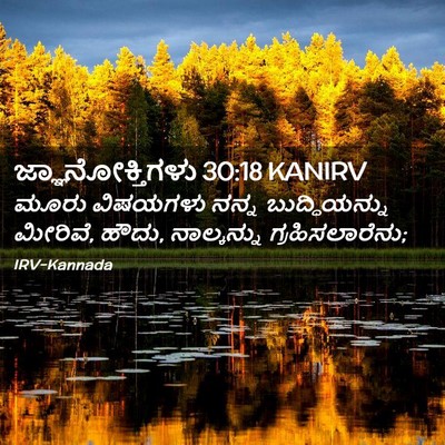 Picture 02 - ಜ್ಞಾನೋಕ್ತಿಗಳು 30:18 KANIRV - ಮೂರು ವಿಷಯಗಳು ನನ್ನ - Bible Verse Picture