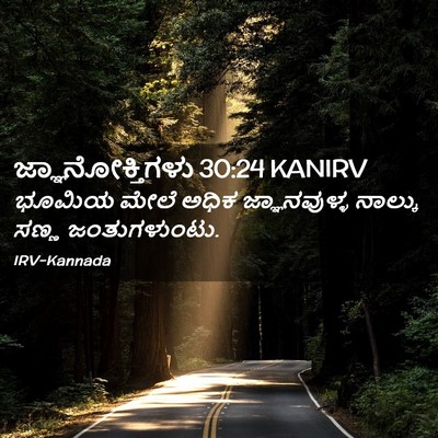 Picture 02 - ಜ್ಞಾನೋಕ್ತಿಗಳು 30:24 KANIRV - ಭೂಮಿಯ ಮೇಲೆ ಅಧಿಕ - Bible Verse Picture
