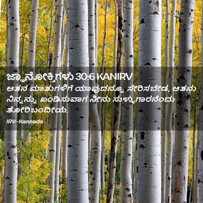 Picture 02 - ಜ್ಞಾನೋಕ್ತಿಗಳು 30:6 KANIRV - ಆತನ ಮಾತುಗಳಿಗೆ - Bible Verse Picture