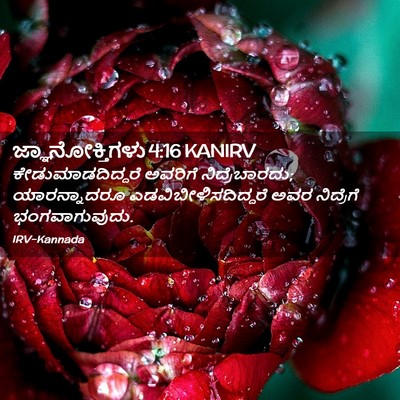 Picture 02 - ಜ್ಞಾನೋಕ್ತಿಗಳು 4:16 KANIRV - ಕೇಡುಮಾಡದಿದ್ದರೆ - Bible Verse Picture