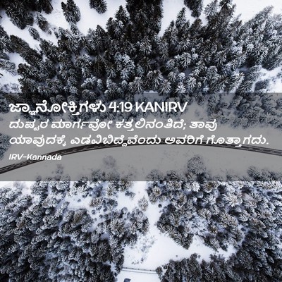 Picture 02 - ಜ್ಞಾನೋಕ್ತಿಗಳು 4:19 KANIRV - ದುಷ್ಟರ ಮಾರ್ಗವೋ - Bible Verse Picture