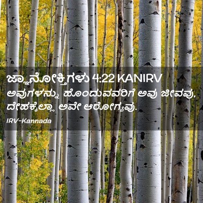 Picture 02 - ಜ್ಞಾನೋಕ್ತಿಗಳು 4:22 KANIRV - ಅವುಗಳನ್ನು - Bible Verse Picture